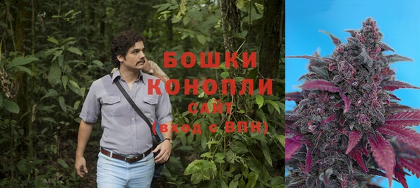 ALPHA-PVP Няндома
