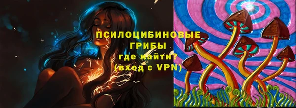 герыч Новозыбков
